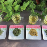 Sampling various herbal tea flavours.