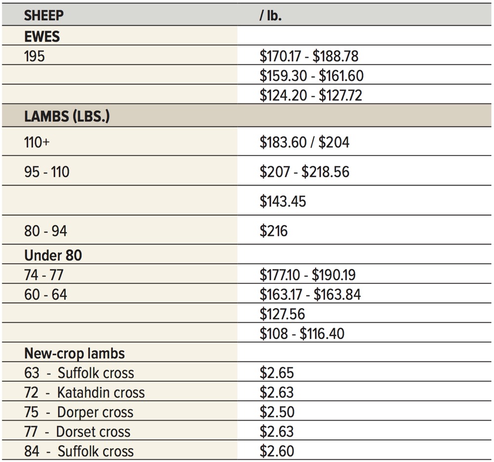 Summer slows sheep and goat bidding