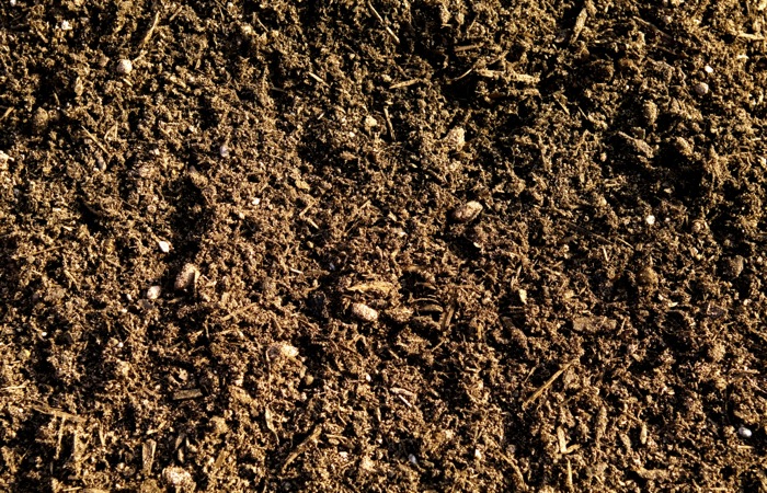 It’s time to make soil great again