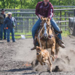 High school tie-down roper Haden Whelpton of Neepawa ropes his calf.