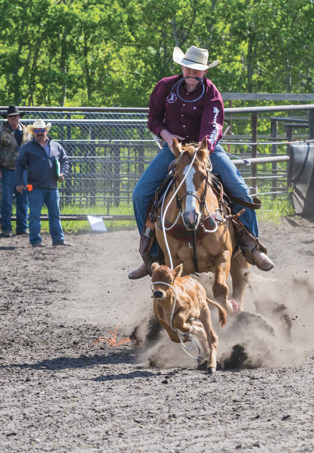 High school tie-down roper Haden Whelpton of Neepawa ropes his calf.