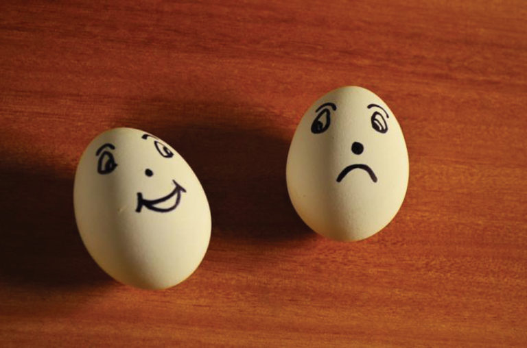 Do happier chickens lay bettertasting eggs?