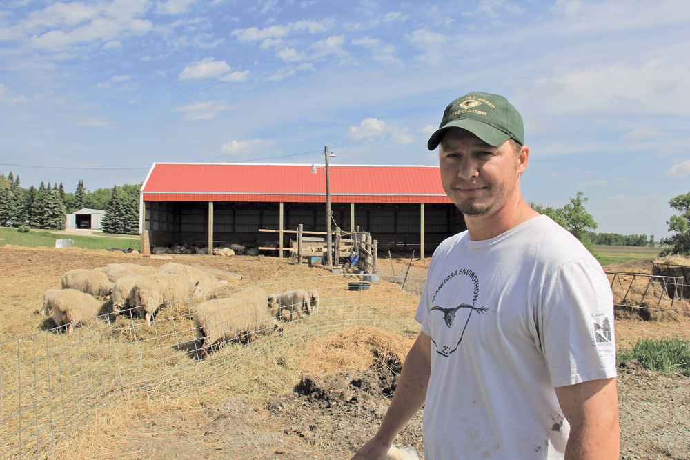 Jonathon Nichol says growth of the provincial flock is mainly attributable to significant expansion on one farm but other producers are expanding flocks as well.