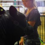A participant prepares the final touches while waiting to enter the ring during the Manitoba Summer Fair junior heifer competition. The fair ran June 7-11, 2017. 