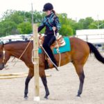 Emily Rowe of Moose Jaw, Sask., rides R Taxes Wrong to first place in the APHC 18 and Under trail category.