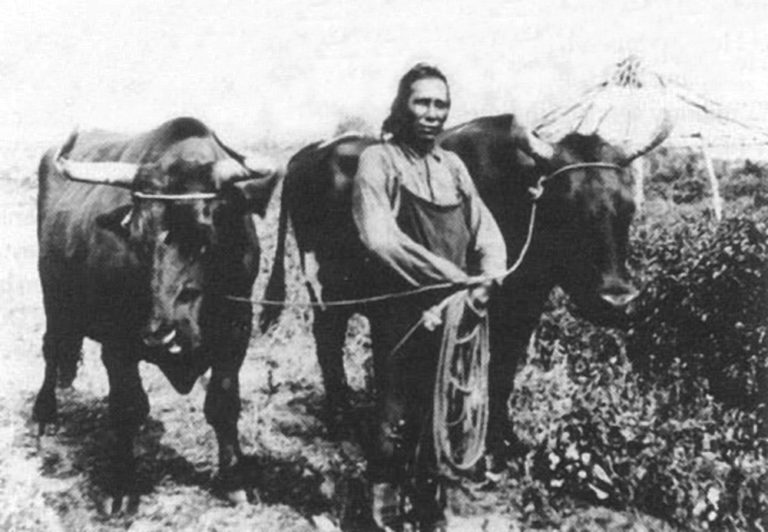 Canada 150 Manitoba's earliest agriculture Canada 150 Manitoba's earliest agriculture