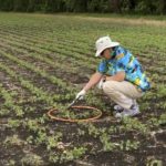 VIDEO: When should you roll soybeans?