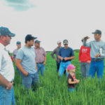 Ryan Boyd discusses his experiment interseeding winter wheat with soybeans during a June 29 field tour at his operation north of Forrest, Man.