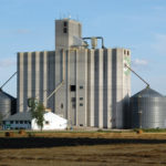 The Cargill elevator at Elm Creek is considered the “granddaddy” of the concrete terminals that now dominate the Prairie landscape. Built in 1976, along with an identical twin at Rosetown, Saskatchewan, the elevator had an initial 460,000-bushel capacity, by far the largest of any country elevator in Manitoba at that time. It had been built using a  slipform process that was increasingly popular for the construction of large, concrete structures across Canada, including Toronto’s CN Tower. The elevator’s capacity was increased over 40 per cent over the next few years but it is now dwarfed by other terminals up to five times its size.