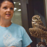 Alexandra Froese shows off Koko, a captive-born burrowing owl, during a recent bus tour of the Turtle Mountain Conservation District.
