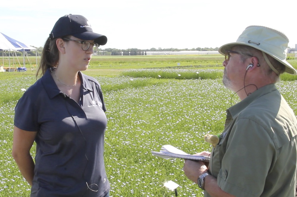 VIDEO: Scouting flax crops for pasmo