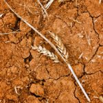 U.S. weather scares funds out of their shorts