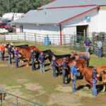 PHOTOS: Neepawa welcomes junior cattle producers