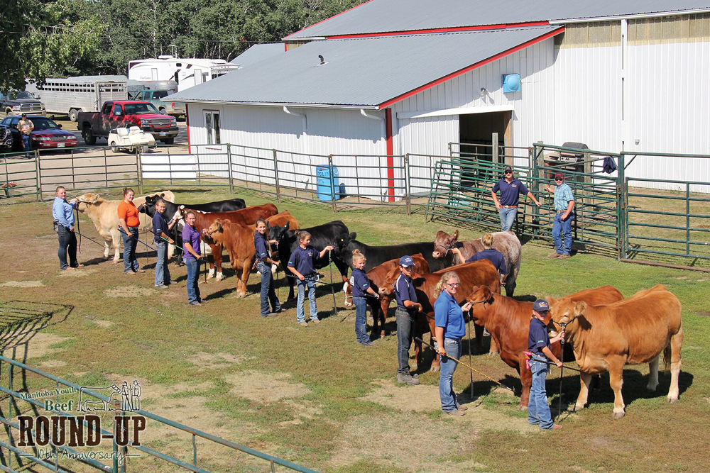 PHOTOS: Neepawa welcomes junior cattle producers