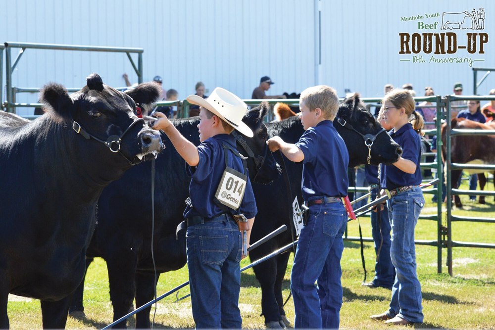 PHOTOS: Neepawa welcomes junior cattle producers