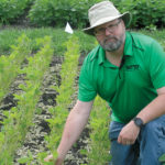 MASC’s Doug Wilcox with a test plot of soybeans showing simulated hail damage.