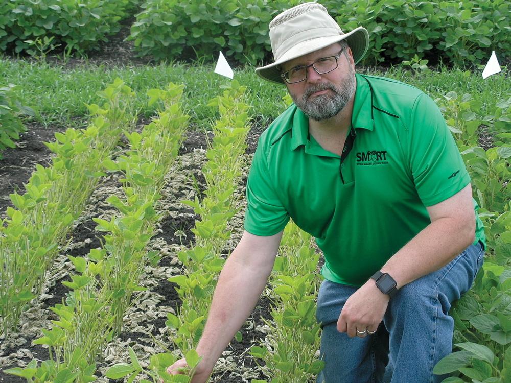 MASC’s Doug Wilcox with a test plot of soybeans showing simulated hail damage.