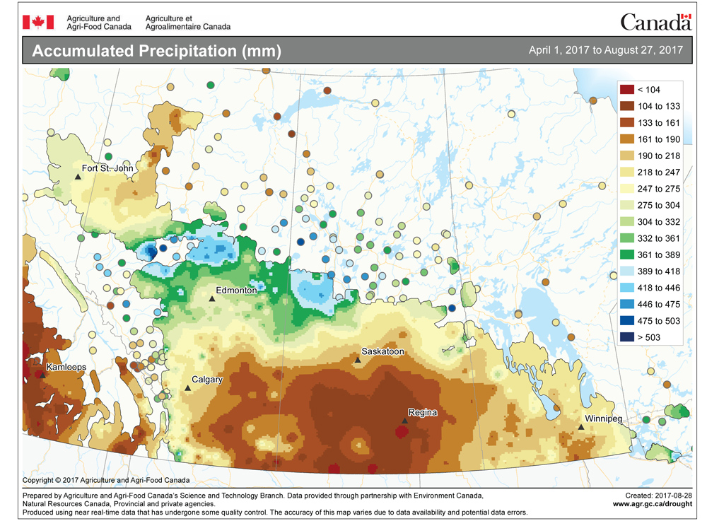 This map shows the total amount of precipitation that has fallen across the Prairies so far this growing season (April 1 to Aug. 27). You can see just how dry it has been this year across the southern and central Prairies. A large part of this region has seen less than 250 mm over this five-month period, with large parts of Saskatchewan and southwestern Alberta seeing less than 200 mm. The only “wet” area is in northwestern Saskatchewan and north-central Alberta, where precipitation amounts are in the 400-500 mm range.