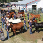 PHOTOS: Neepawa welcomes junior cattle producers
