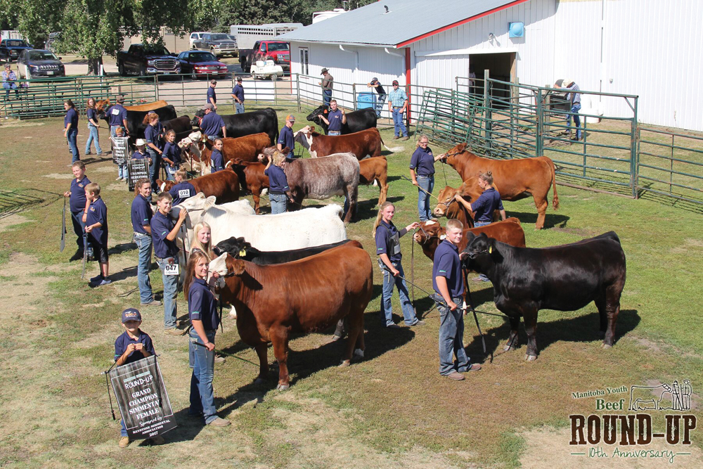 PHOTOS: Neepawa welcomes junior cattle producers
