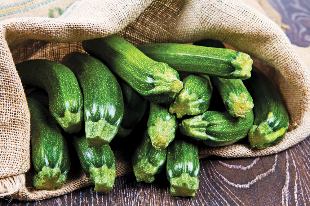 Zucchini doesn’t always get the respect it deserves, considering what a prolific nutritional powerhouse it is.