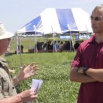VIDEO: Fighting herbicide resistance in weeds