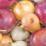 Onions can add to almost any dish.