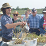 Mitchell Timmmerman, agri-ecosystems specialist with Manitoba Agriculture, highlights root difference between crops during the Manitoba Beef and Forage Initiatives Brookdale tour August 30.