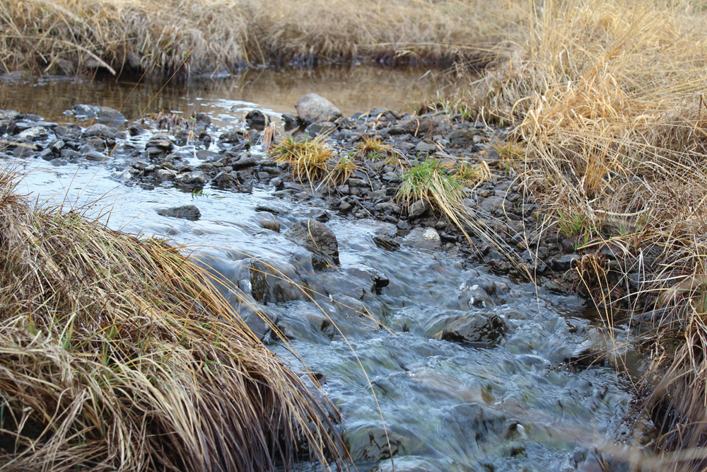 Quebec researchers say a new treatment can remove atrazine from  surface water.