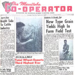 New grain type yields high in farm field test