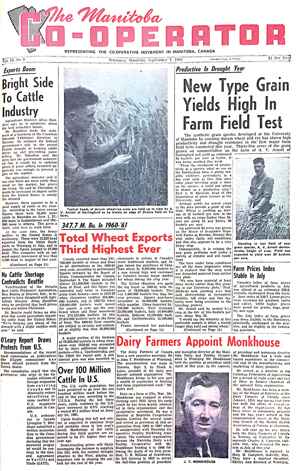 New grain type yields high in farm field test