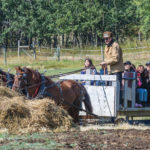 Peter Schueler of Rapid City, along with his team Barney and Kenny,
gave international exchange students from Brandon University a ride out to the cattle pasture.
