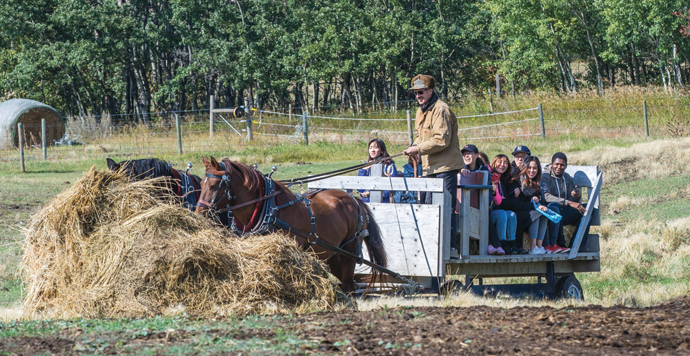 Peter Schueler of Rapid City, along with his team Barney and Kenny,  gave international exchange students from Brandon University a ride out to the cattle pasture.