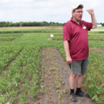 There’s talk of restricting dicamba use in Arkansas following many crop injury complaints there this growing season, but there’s no such talk in Manitoba. Manitoba Agriculture’s Terry Buss spoke about a plot demonstrating dicamba drift damage at the Crop Diagnostic School in Carman in July.