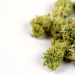 Close up of a pile of marijuana bud