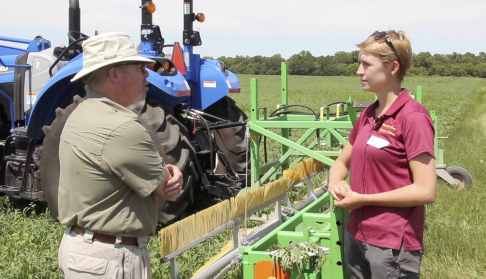VIDEO: Comb-cutting weeds down to size