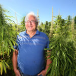 Rod Fisher stands in a hemp field near Dauphin.