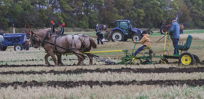 Art Gibson of Neepawa stood behind 12-year-old Justin McKee of Minnedosa in the junior sulky class to offer the young competitor his advice.  