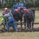 Roy Manns of Firdale uprights his plow as Jim Scott of Morden arrives to offer his aid.