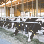 Dairy farmers say the federal government has kept them abreast of NAFTA renegotiations at every step of the process.