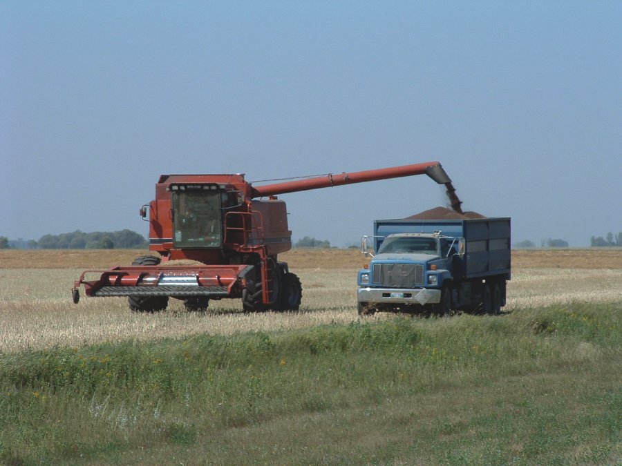 Manitoba farmers with crop still in the field have now experienced both ends of the moisture spectrum in a single season.