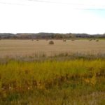 A field of hay bales near Altamont, Man. on Sept. 30.