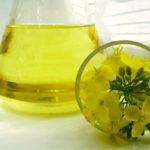 Canola draws strength from U.S. biofuel policy moves