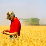 Farmer in wheat field