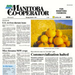 “Terminator” technology terminated