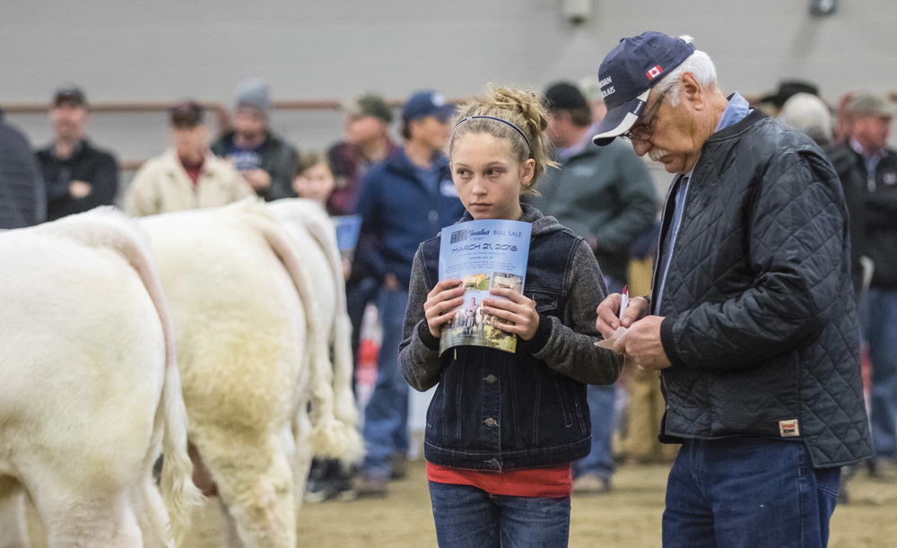 Kati-Leigh Heapy and her grandpa, Harry Airey of Rivers were two of the 60 judges that participated in the Charolais Wheat King Jackpot bull show, part of the breed’s national show at Ag Ex. 