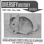 Carryover and low quotas lead to Chinchillas?