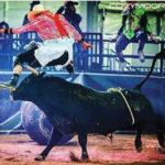Daryl Thiessen soars over a bull’s back during his days as a bullfighter.