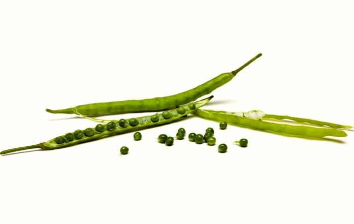 Oilseed Rape Pods