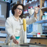 Leila Dehabadi puts corn at the centre of new, more efficient technology for separating water from ethanol.